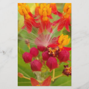 Lättfärgad Blommigt med Milkweed Art Print Brevpapper