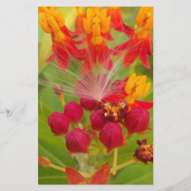 Lättfärgad Blommigt med Milkweed Art Print Brevpapper (Framsida)