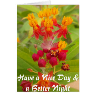 Lättfärgad Blommigt med Milkweed Art Print Hälsningskort