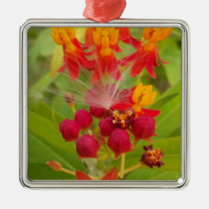 Lättfärgad Blommigt med Milkweed Art Print Julgransprydnad Metall