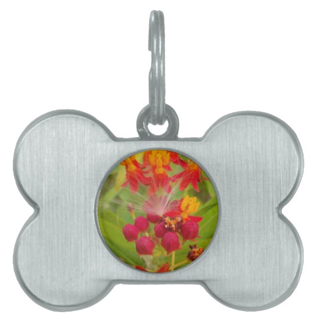 Lättfärgad Blommigt med Milkweed Art Print Namnbricka Husdjur (Framsidan)