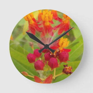 Lättfärgad Blommigt med Milkweed Art Print Rund Klocka
