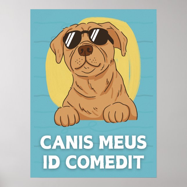 Lättfunna latinska klassrummets Poster - Canis Meu (Framsidan)