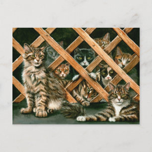 Lattice Cats Postcard Vykort
