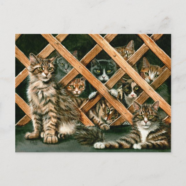 Lattice Cats Postcard Vykort (Framsida)