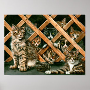Lattice Cats Poster, tabbys tuxedos kmcoriginals Poster