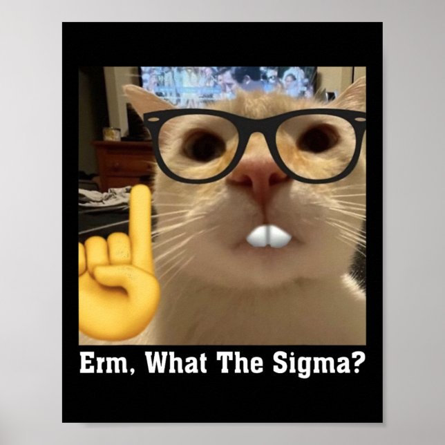 Lättkott - lapp Kute Erm Poster (Framsidan)