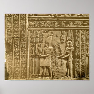 Lättnad som visar Ptolemy VIII Euergetes II Poster