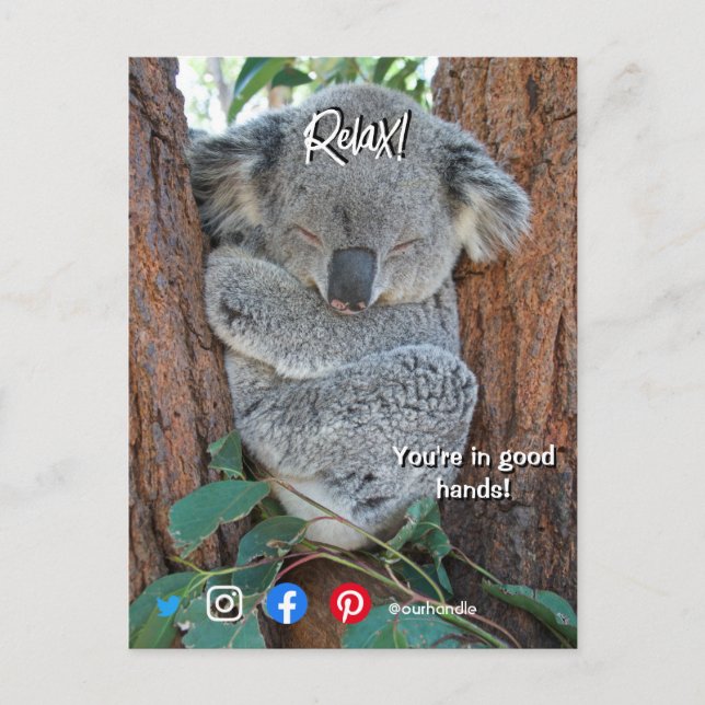 Lättsinnig koala med gods-vykort vykort (Framsida)