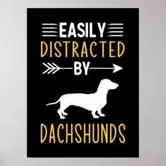Lättspridd av Dachshunds Poster