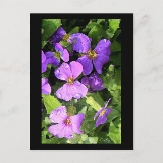 L'aubriète Vykort