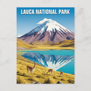 Lauca National Park Chile Travel Vykort