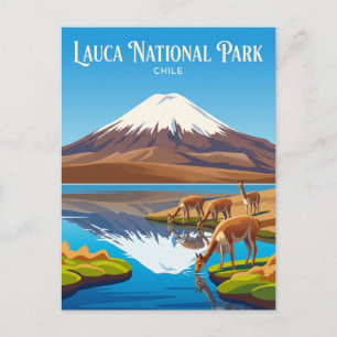 Lauca nationalpark Chile Vykort