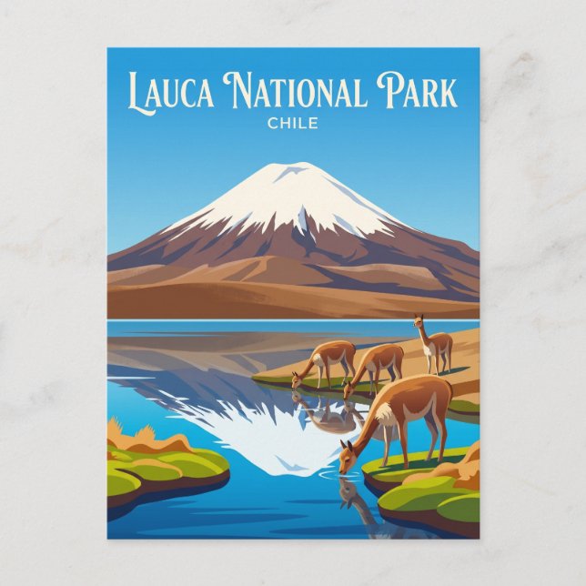Lauca nationalpark Chile Vykort (Framsida)