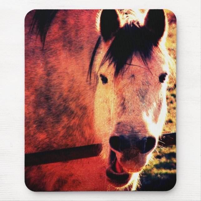 Laugh Musmatta (Framsidan)