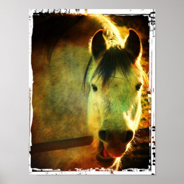 Laugh Poster (Framsidan)