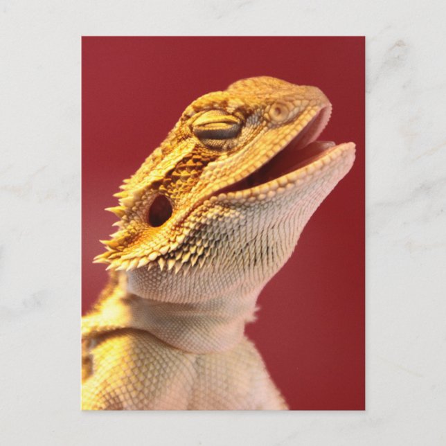 Laughing Bearded Dragon Vykort (Framsida)