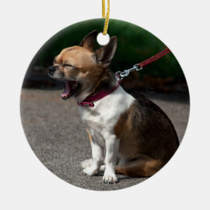 Laughing Chihuahua Julgransprydnad Keramik