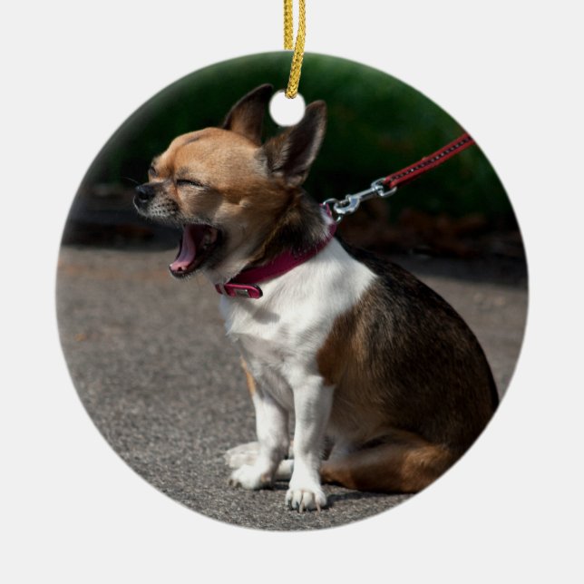 Laughing Chihuahua Julgransprydnad Keramik (Framsidan)