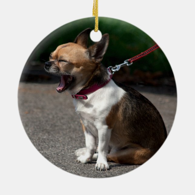 Laughing Chihuahua Julgransprydnad Keramik (Baksidan)