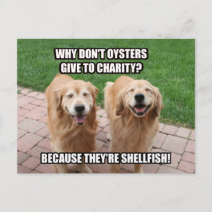 Laughing Golden Retriever Funny Shellfish Joke Vykort