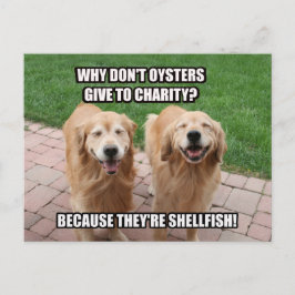 Laughing Golden Retriever Funny Shellfish Joke Vykort