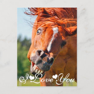 Laughing Horse I Kärlek You Vykort