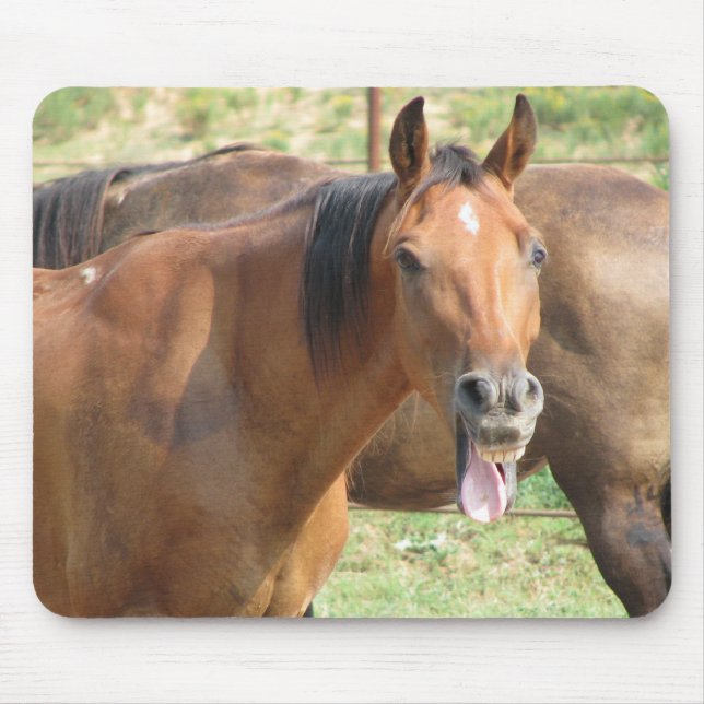 Laughing Horse Musmatta (Framsidan)