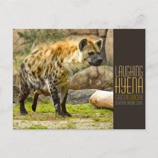 Laughing hyena [Postcard] Vykort