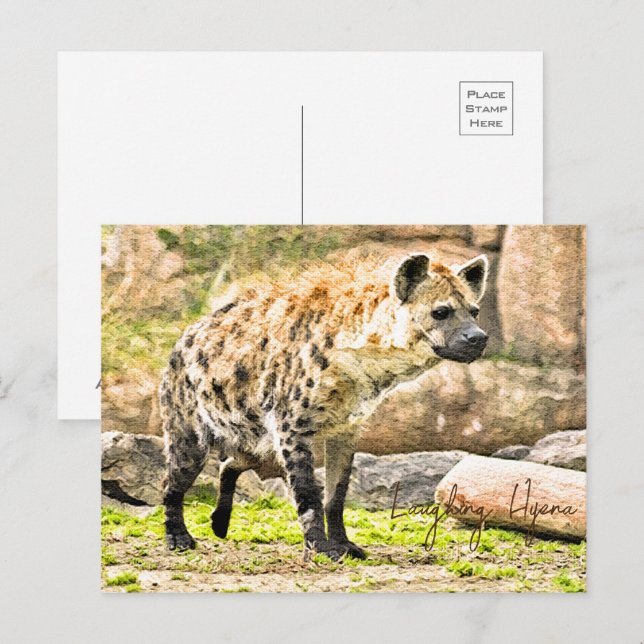 Laughing Hyena Vykort (Fram/baksida)