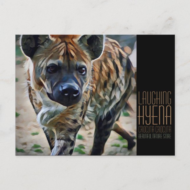 Laughing hyena [vykort] vykort (Framsida)