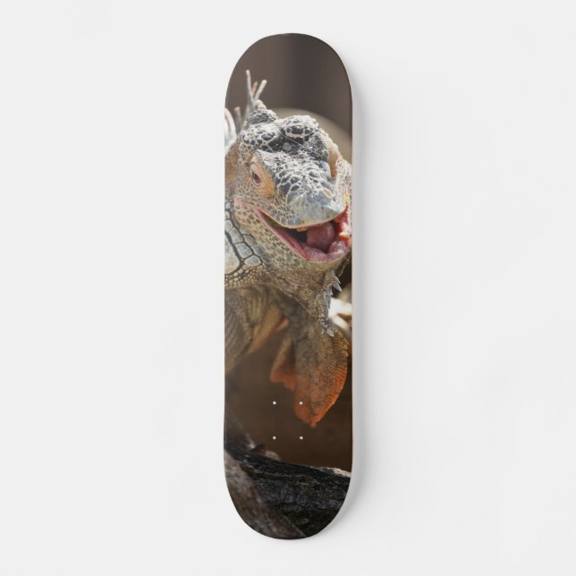 Laughing Iguana Photography Skateboard Bräda 21,5 Cm (Framsida)