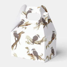 Laughing Kookaburra Australian Bird Eucalyptus