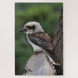 Laughing Kookaburra Bird in a Träd, 1014 delarare Pussel
