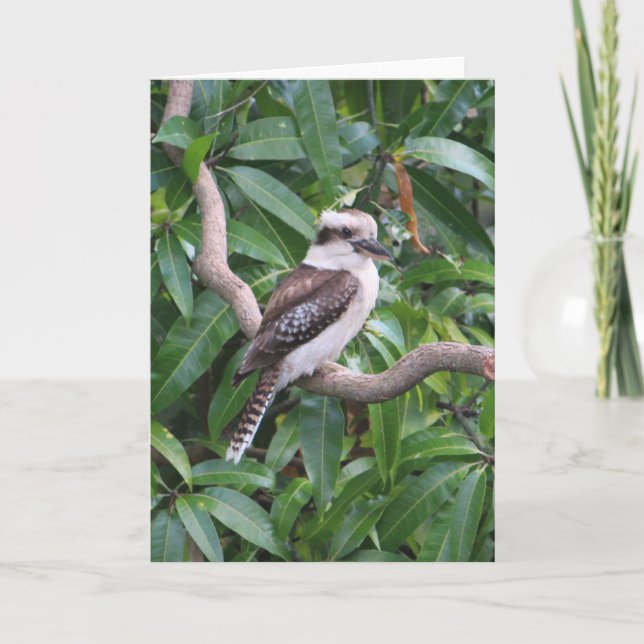 Laughing Kookaburra Greeting Card Kort (Framsida)