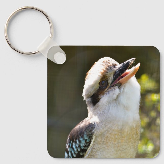 Laughing Kookaburra perched on gren Postcard Squ Nyckelring (Framsida)
