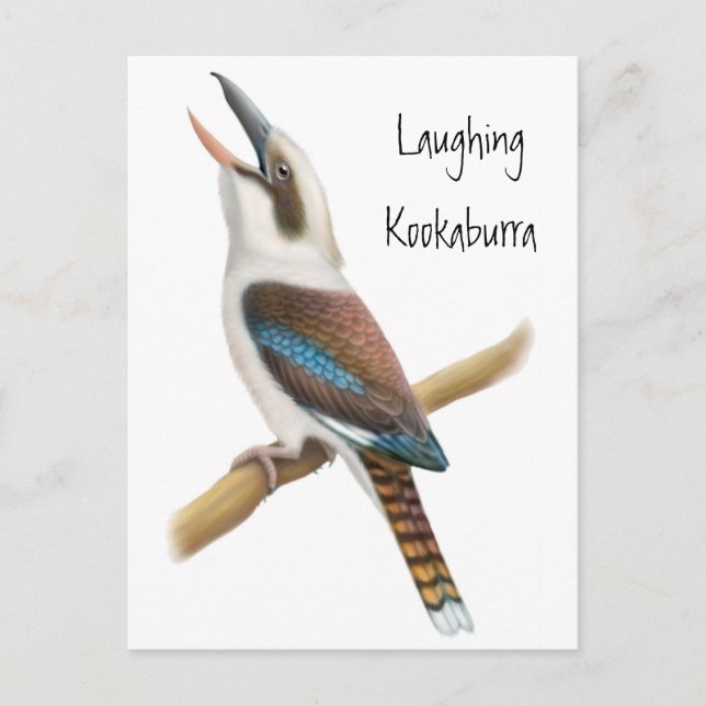 Laughing Kookaburra Postcard Vykort (Framsida)