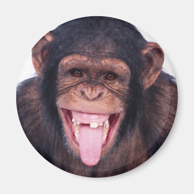 Laughing Monkey Magnet (Framsidan)