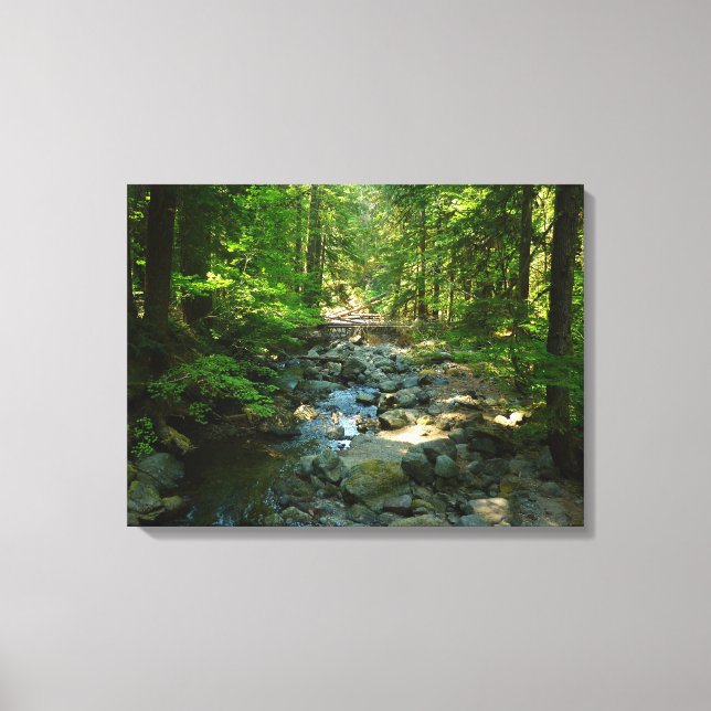 Laughingwater Creek vid Mount Rainier National Par Canvastryck (Framsida)