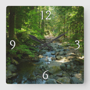 Laughingwater Creek vid Mount Rainier National Par Fyrkantig Klocka
