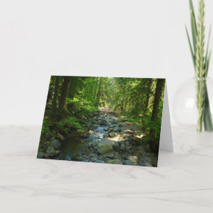 Laughingwater Creek vid Mount Rainier National Par Kort