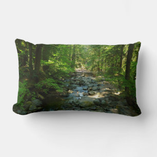 Laughingwater Creek vid Mount Rainier National Par Lumbarkudde