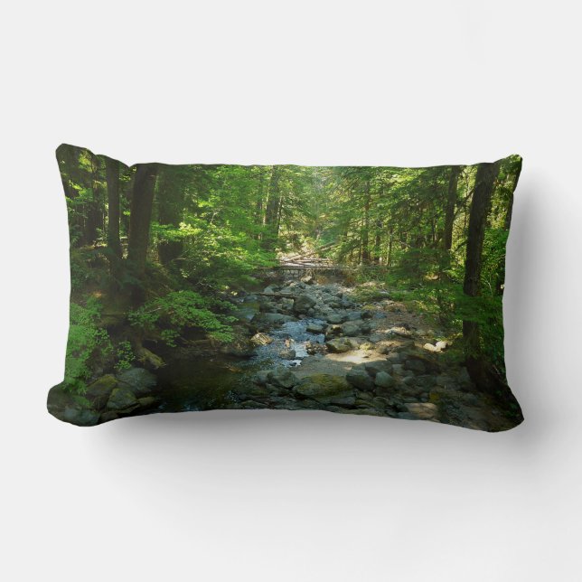 Laughingwater Creek vid Mount Rainier National Par Lumbarkudde (Framsida)