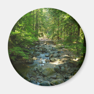 Laughingwater Creek vid Mount Rainier National Par Magnet