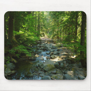 Laughingwater Creek vid Mount Rainier National Par Musmatta