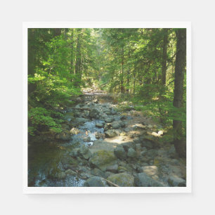 Laughingwater Creek vid Mount Rainier National Par Pappersservett