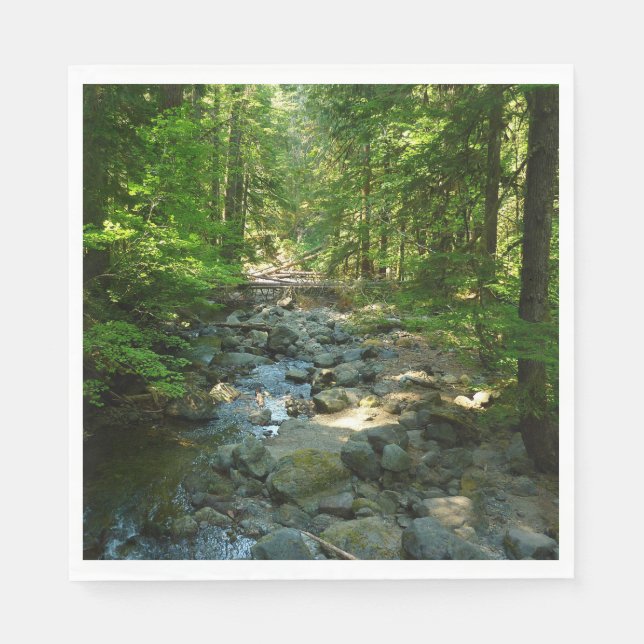 Laughingwater Creek vid Mount Rainier National Par Pappersservett (Framsidan)