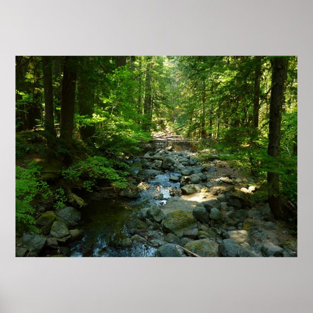 Laughingwater Creek vid Mount Rainier National Par Poster (Framsidan)