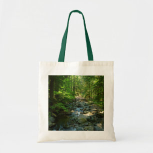 Laughingwater Creek vid Mount Rainier National Par Tygkasse