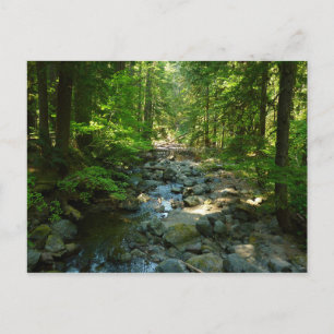 Laughingwater Creek vid Mount Rainier National Par Vykort